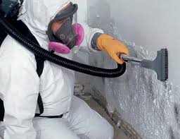 Trusted Callaway, MD Mold Inspection Experts